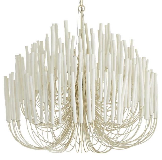 Collection Thumbnail